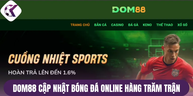 Dom88 cập nhật bóng đá online hàng trăm trận