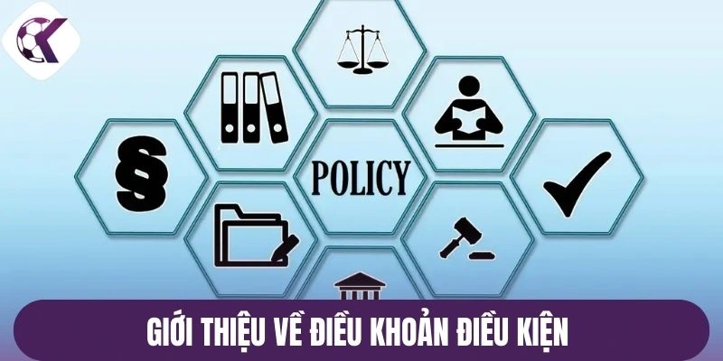 Giới thiệu về điều khoản điều kiện 