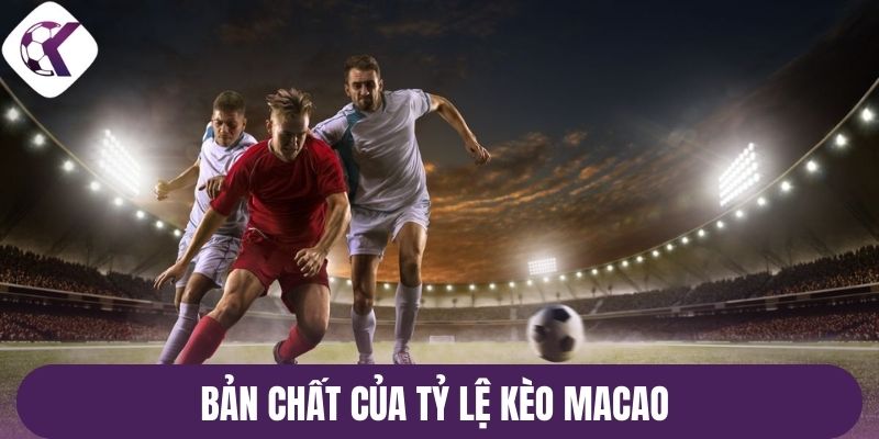 Bản chất của tỷ lệ kèo Macao 