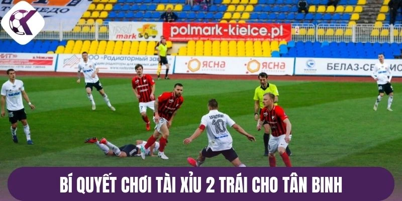 Bí quyết chơi tài xỉu 2 trái cho tân binh