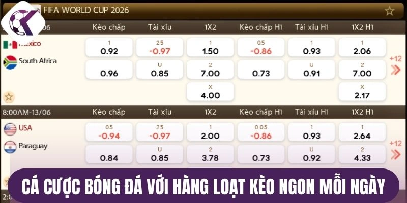 Cá cược bóng đá với hàng loạt kèo ngon mỗi ngày