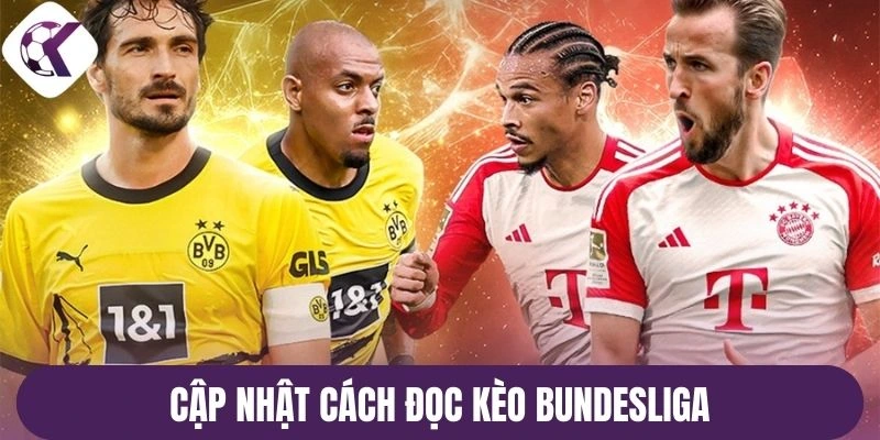 Cập nhật cách đọc kèo Bundesliga 