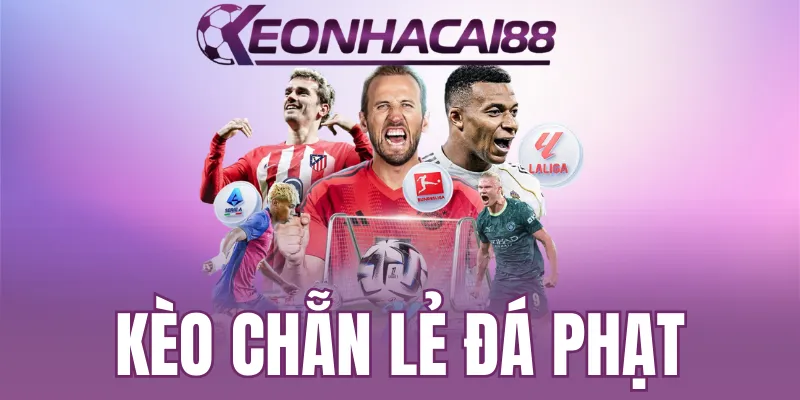 Chuyên gia chia sẻ bí kíp đánh kèo chẵn lẻ đá phạt hiệu quả