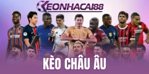 Bí kíp soi kèo 1X2 vô cùng hiệu quả