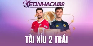 Bí quyết chơi tài xỉu 2 trái cho tân binh