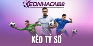 Người chơi nên áp dụng kinh nghiệm soi kèo từ cao thủ