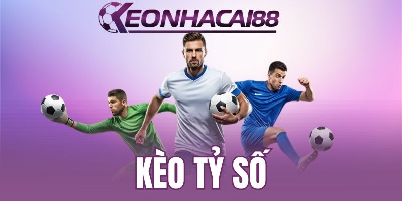 Người chơi nên áp dụng kinh nghiệm soi kèo từ cao thủ