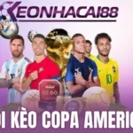 Nắm rõ lịch sử đối đầu của các đội Nam Mỹ