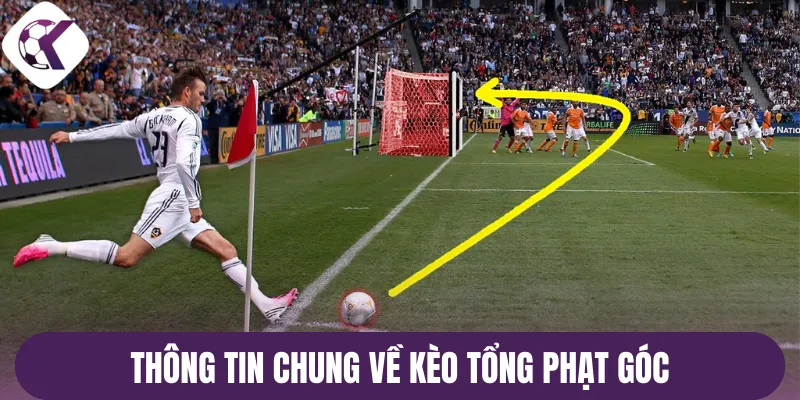 Thông tin chung về kèo tổng phạt góc