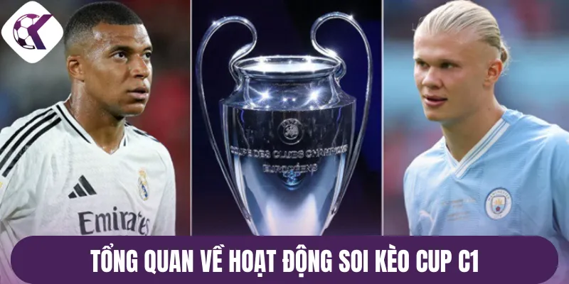 Tổng quan về hoạt động soi kèo cup C1