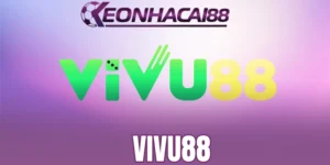 Tổng hợp khuyến mãi bet thủ được nhận tại Vivu88 