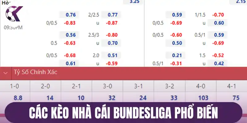 Các kèo nhà cái Bundesliga phổ biến
