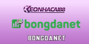 Bongdanet - Theo dõi tin tức, soi kèo bóng đá toàn diện